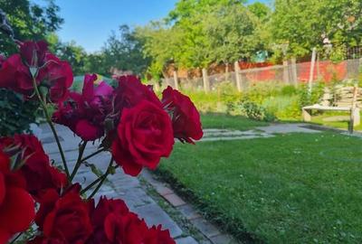 Casă individuală cu 2 camere în Exterior Est