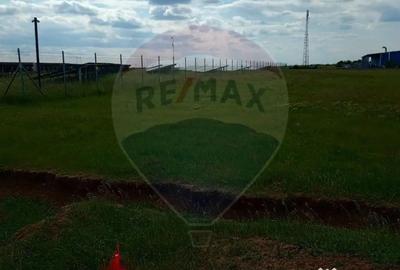 Teren de 11000 mp, în Periferie