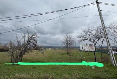 Teren Construcții intravilan de 5000 mp, în Șimian - 4