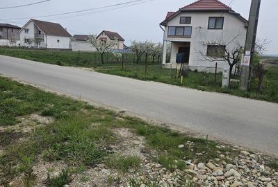 Spațiu comercial, în Rontău - 7