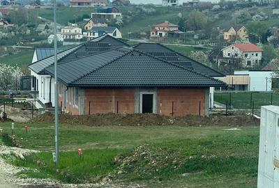 Spațiu comercial, în Săldăbagiu de Munte - 6