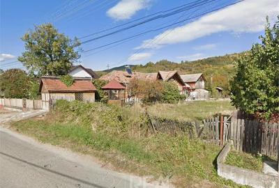 Teren de vanzare Drajna de Sus, zona buna pentru case vacanta - 6