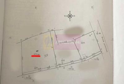 Teren intravilan de vanzare in Lunca Mare (la 10 km de Valea Doftanei) - 2