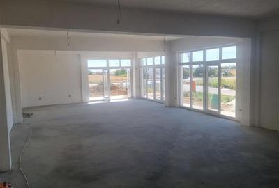 Spatiu comecial de inchiriat Com. Berceni - 8