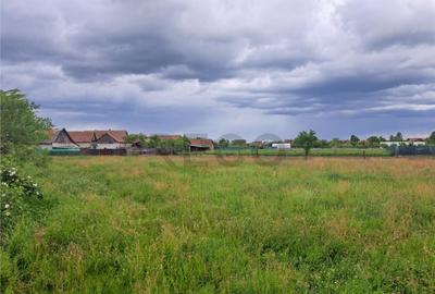 Teren de 1035 mp, în Cefa - 5