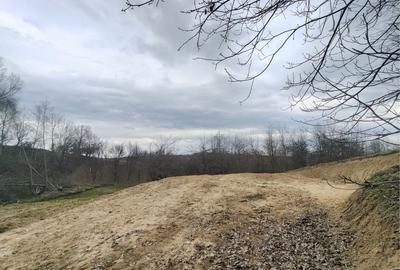 Spațiu comercial, în Sibiel - 7