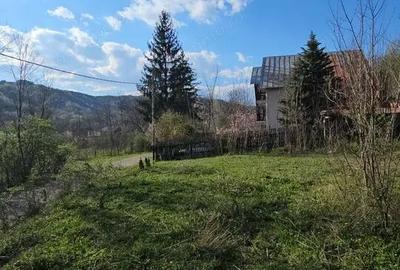 Teren în Brebu - 13