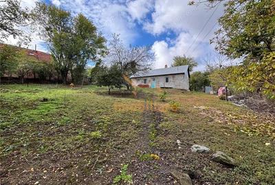 Casă cu 2 camere cu Teren 4000 Mp în Dernișoara - 5