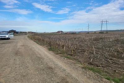Teren de 8300 mp, în Central - 3