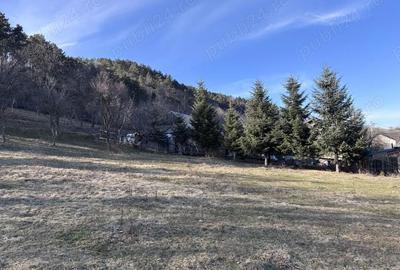 Teren de 5000 mp, în Gârcina - 4