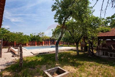 Casa cu 2 corpuri, piscina si 3.235 mp teren in Ghioroc - 43
