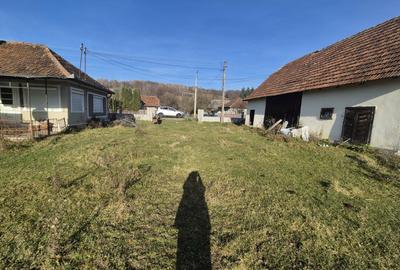 Casă cu 3 camere în Ciucea - 4