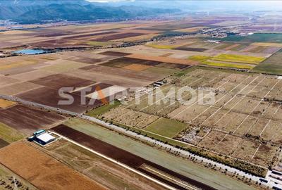 Teren Construcții intravilan de 13750 mp, în Sud-Est - 4