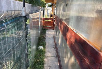 Casă parter tip duplex 3 camere +1 în lucru - Brănești - 8