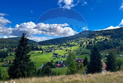 Teren de 6500 mp, în Arieșeni - 5