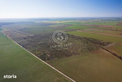 Teren de 1118 mp, în Snagov - 12