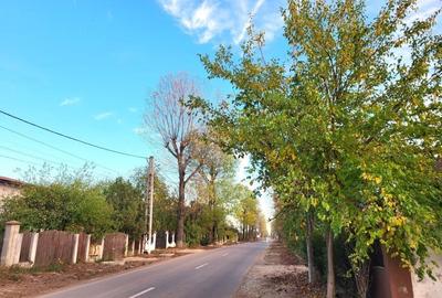 Izvorani Snagov deschidere la asfalt, toate utilitatile - 3