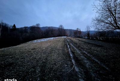 Teren de 5000 mp, în Șinca - 6