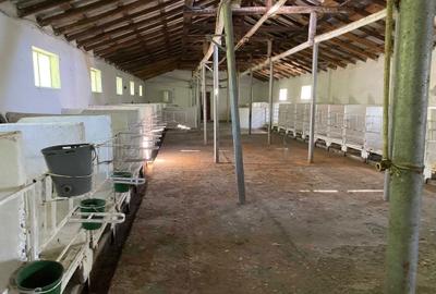 Teren de 15000 mp, în Central - 2