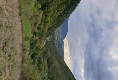 Teren de 8500 mp, în Hărțăgani - 9