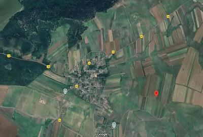 Cota de 1/2 din teren extravilan, comuna Rogova, Jud Mehedinti - 2