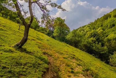 COMISION 0% Teren 11,381 mp Moieciu de Jos / Oportunitate unica - 17