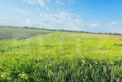 Teren de 5521 mp, în Central - 3