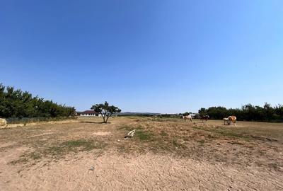 Teren Construcții intravilan de 760 mp, în Fughiu - 3