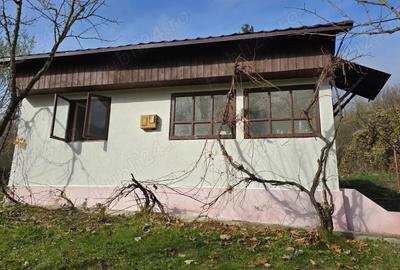 Casa de vacanta zona de padure, Trestioara Prahova - 10