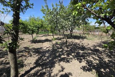 Casă cu 4 camere în Iosia - 3