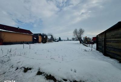 Spațiu comercial, în Mihai Viteazu - 3