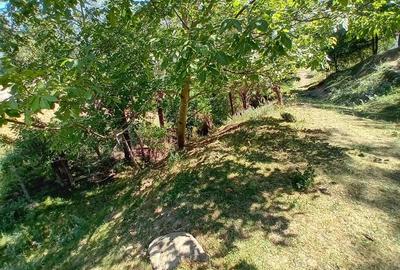 De vanzare teren intravilan in zona de munte - 9