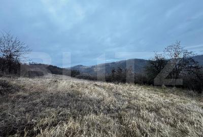 Teren extravilan 4300 mp, zona Criseni - Vintul de Jos