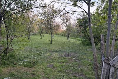 Casă cu 3 camere în Valea Călugărească