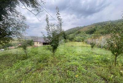 Casa frumoasa ?i cocheta de vanzare in Mila? - 2900 m - 11