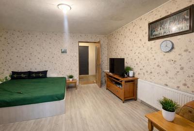 Garsonieră semidecomandată în Tătărași - 3