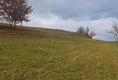 Teren de 3380 mp, în Șoimuș - 3