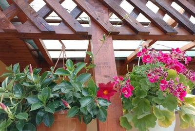 Casă individuală cu 3 camere cu Canalizare în Hănțești - 20