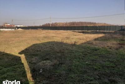 Teren de 2500 mp, în Mogoșoaia - 5