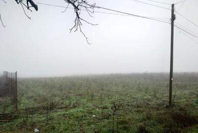 Teren de 6600 mp, în Vânători - 1