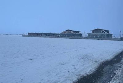 Teren de 3796 mp, în Ciorogârla - 1