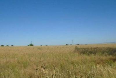 Teren Extravilan Galbenu, cota parte 1/2, ID: R2639994