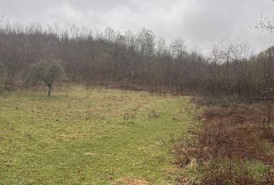 Teren de 2900 mp, în Sintești - 5