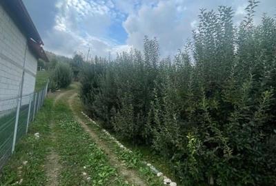 CASĂ  DE VÂNZARE ÎN COMUNA BOȚEȘTI -ARGEȘ - 3