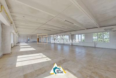 Birou, de 460 mp, în Sânnicolau Mic - 11