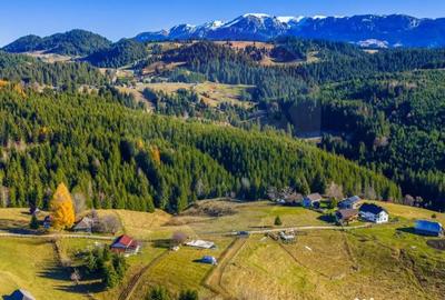 Teren de 13800 mp, în Fundățica - 3