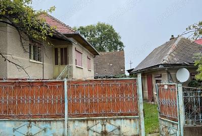 Casă cu 4 camere cu Teren 2300 Mp în Dângău Mare - 2