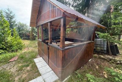 Cabana Marisel aproape de partia de ski- COMISION 0% - 3