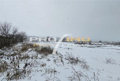 Teren 600mp. curs constructii, Utilitati, Palazu Mare, str.S - 4
