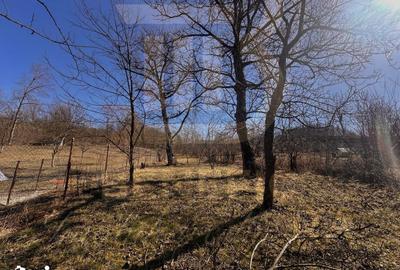 Casă cu 4 camere cu Teren 1615 Mp în Central - 5